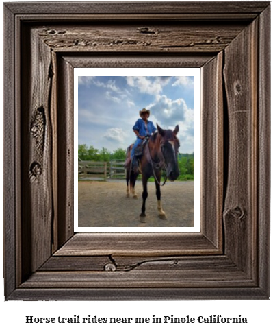 horse trail rides near me in Pinole, California